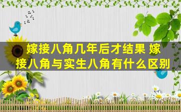 嫁接八角几年后才结果 嫁接八角与实生八角有什么区别